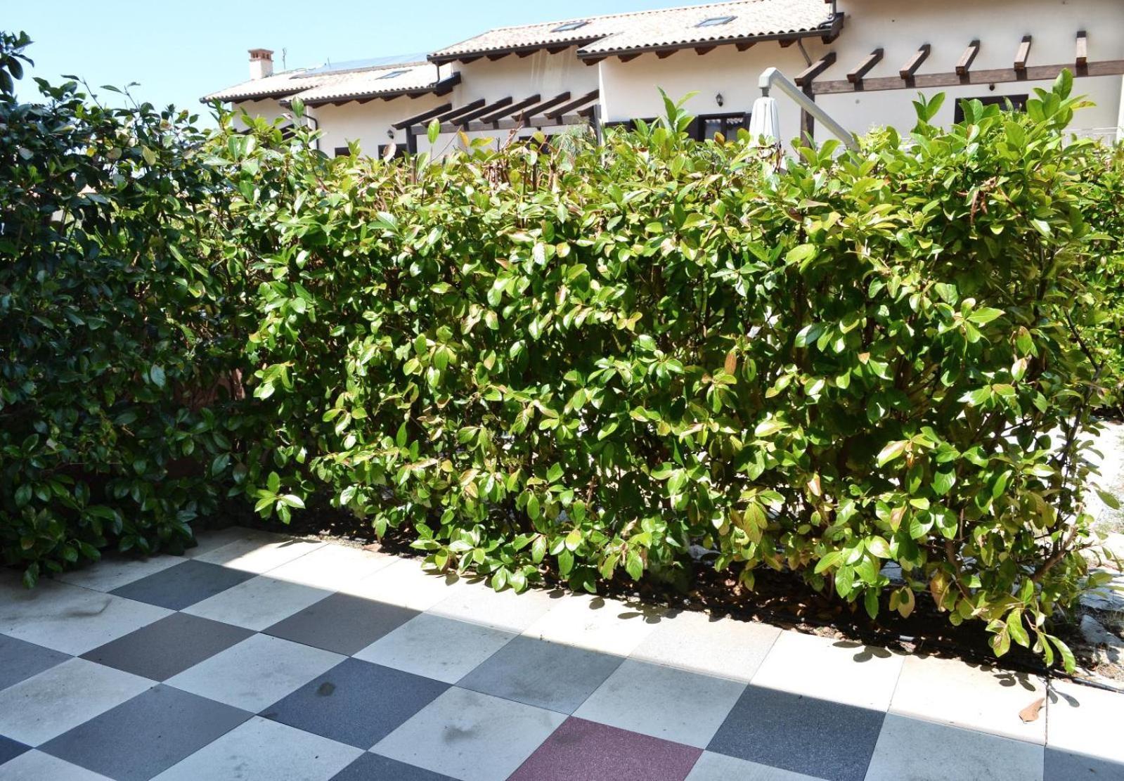 Le Case Del Carmine Con Giardino E Parcheggio A Tropea Exterior foto